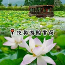 华侨城古劳水乡旅游区 - 江门市旅游 缩略图 1