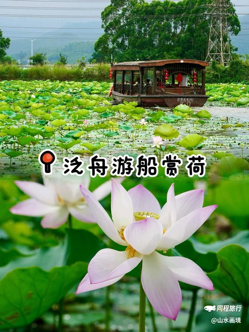 华侨城古劳水乡旅游区 - 江门市旅游