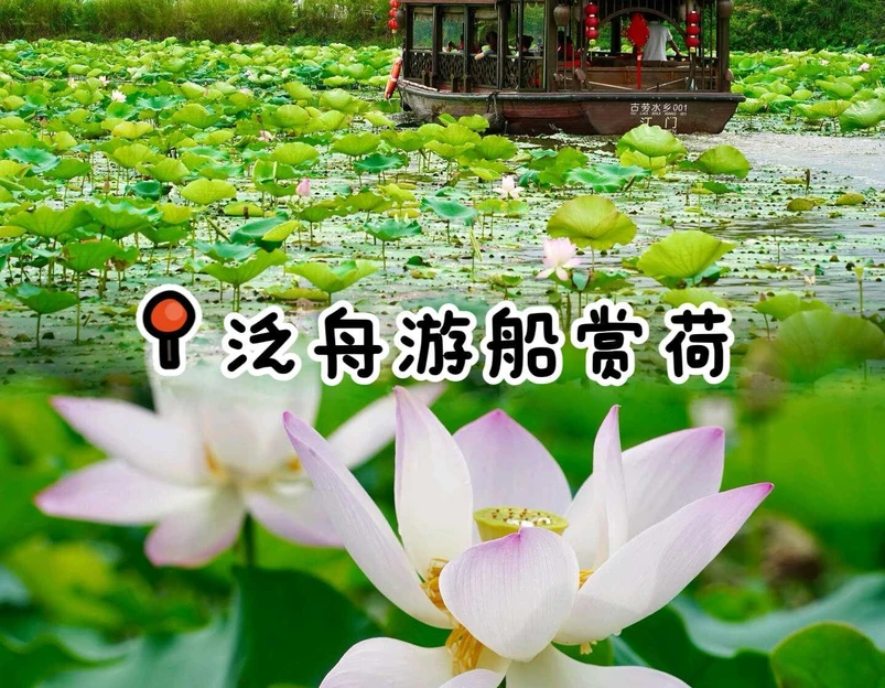 华侨城古劳水乡旅游区 - 江门市旅游 1