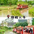 华侨城古劳水乡旅游区 - 江门市旅游 缩略图 6
