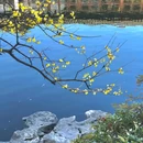 苏州市·长江一号 - 苏州市旅游 缩略图 6