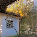 苏州市·长江一号 - 苏州市旅游 缩略图 8