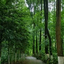 中岩风景区 - 眉山旅游 缩略图 5