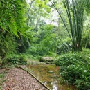 中岩风景区 - 眉山旅游 缩略图 3