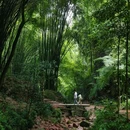 中岩风景区 - 眉山旅游 缩略图 7