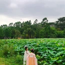 道滘北岛公园 - 东莞旅游 缩略图 9
