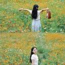 汪家湾花海 - 成都市旅游 缩略图 9