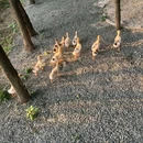 麦德龙(麦德龙西安雁塔商场店) - 西安市旅游 缩略图 3