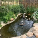 麦德龙(麦德龙西安雁塔商场店) - 西安市旅游 缩略图 6