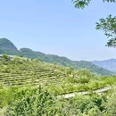 房山西苑村一队[公交站] - 北京市旅游 缩略图 6
