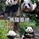 四季城商业广场 - 成都市旅游 缩略图 7