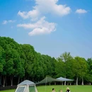 南京平山森林公园 - 南京市旅游 缩略图 2