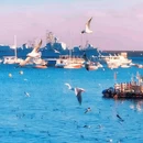 青岛中山公园 - 青岛市旅游 缩略图 5
