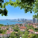青岛中山公园 - 青岛市旅游 缩略图 8