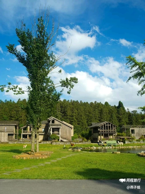 阿勒泰金桥假日酒店 - 阿勒泰地区旅游