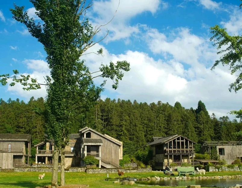 阿勒泰金桥假日酒店 - 阿勒泰地区旅游 1