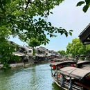醉园 - 嘉兴市旅游 缩略图 6