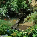 篁岭景区 - 上饶市旅游 缩略图 4