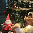 新尚天地 - 成都旅游 缩略图 1