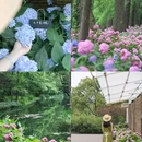 上海滨江森林公园 - 上海市旅游 缩略图 1