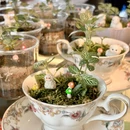 花植咖 PLANTS KA - 广州市旅游 缩略图 8