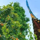 成都阳平玄观 - 成都市旅游 缩略图 3