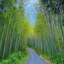成都阳平玄观 - 成都市旅游 缩略图 2