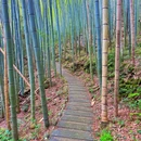成都阳平玄观 - 成都市旅游 缩略图 8