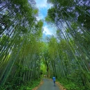 成都阳平玄观 - 成都市旅游 缩略图 6