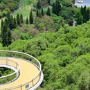 望湖塔 - 厦门市旅游 缩略图 1
