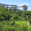 望湖塔 - 厦门市旅游 缩略图 4