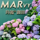 MARvy玛薇咖啡(永丰店) - 成都市旅游 缩略图 3