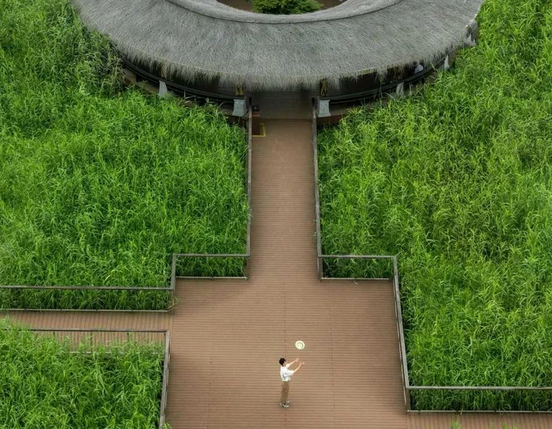 下渚湖国家湿地公园 - 湖州市旅游 1