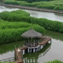下渚湖国家湿地公园 - 湖州市旅游 缩略图 5