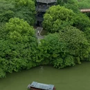 下渚湖国家湿地公园 - 湖州市旅游 缩略图 6