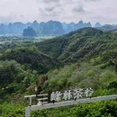 英西峰林德高信T三有机茶园景区 - 清远旅游 缩略图 2
