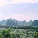 英西峰林德高信T三有机茶园景区 - 清远旅游 缩略图 3