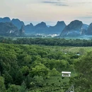 英西峰林德高信T三有机茶园景区 - 清远旅游 缩略图 4