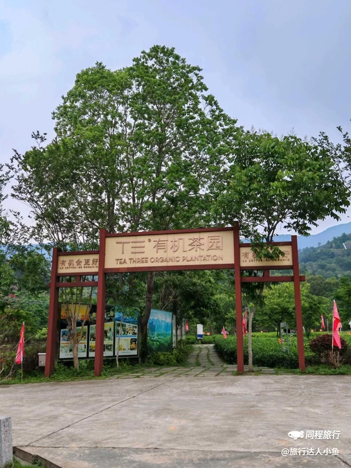 英西峰林德高信T三有机茶园景区 - 清远旅游