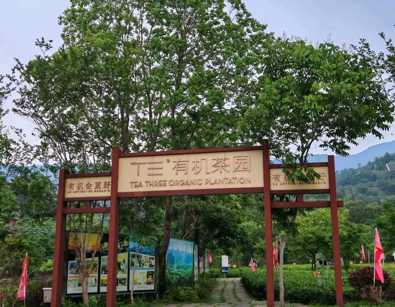 英西峰林德高信T三有机茶园景区 - 清远旅游 1