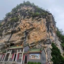 英西峰林德高信T三有机茶园景区 - 清远旅游 缩略图 9