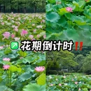 佛山世博广场 - 佛山市旅游 缩略图 9
