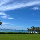 芽庄 - 越南旅游 缩略图 5