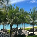 芽庄 - 越南旅游 缩略图 4