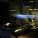 碧桂园里悦里购物中心 - 东莞市旅游 缩略图 2
