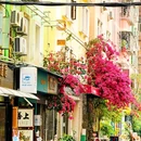 大芬油画村 - 深圳旅游 缩略图 3