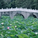 莞城街道 - 东莞市旅游 缩略图 5