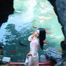 佛山花墙 - 佛山市旅游 缩略图 9
