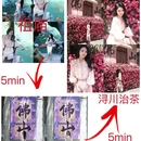 佛山花墙 - 佛山市旅游 缩略图 7