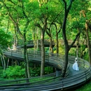 杭州西湖 - 杭州市旅游 缩略图 3